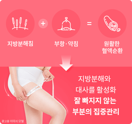 다이어트2